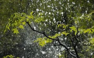小英雄雨来的先进事迹6篇
