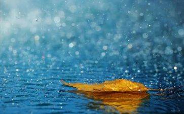 小英雄雨来的先进事迹最新6篇