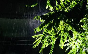 幼儿园语言雨教案通用7篇