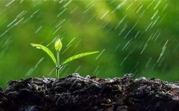 雨天优秀作文7篇