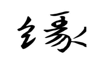 关于缘的作文600字优质5篇