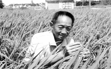 有关于袁隆平的演讲稿6篇