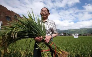 袁隆平,心得体会8篇