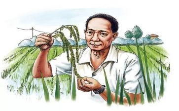 袁隆平心得8篇