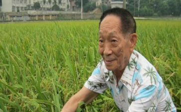 关于袁隆平的演讲稿5篇