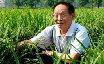 袁隆平心得优秀5篇