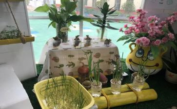 幼儿园培训心得体会优秀8篇