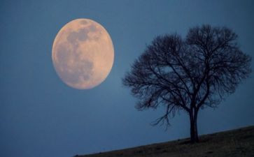 月亮湾的读后感优秀8篇