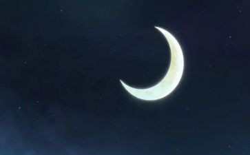 画月亮教案模板8篇