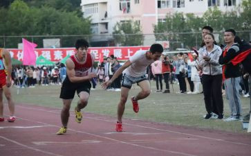 2024北京奥运会心得体会8篇
