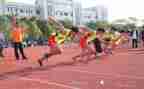 观看2024奥运会心得体会5篇