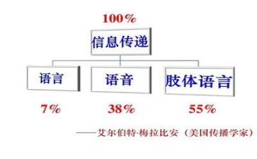语言类活动方案模板8篇