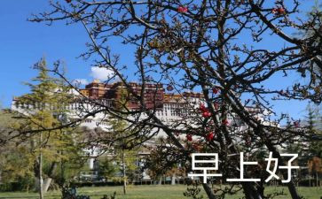 早教活动方案策划8篇