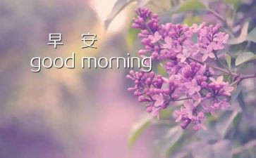 早教的培训心得最新8篇