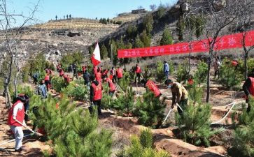 承包荒山造林合同5篇