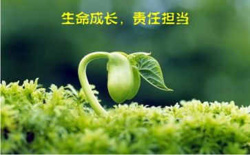 梦想和责任的演讲稿7篇