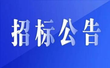 2023招标个人工作总结7篇