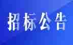 2023招标个人工作总结7篇