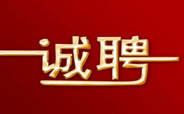 招聘月活动的总结8篇