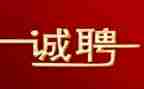 招聘月活动的总结8篇