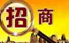 2024年招商工作总结范文6篇