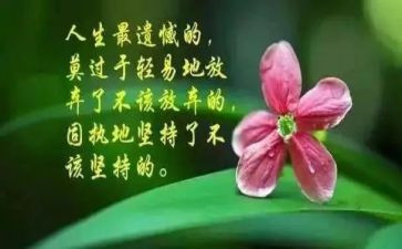 故事悟哲理的演讲稿5篇