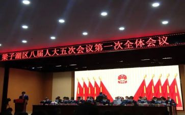 镇代表述职报告通用8篇