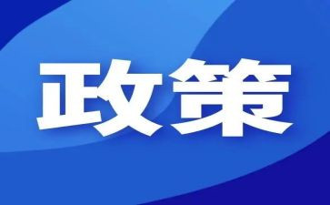 双减政策,心得体会最新7篇