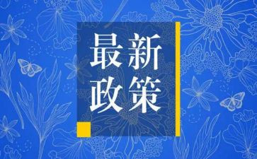 双减政策活动总结8篇