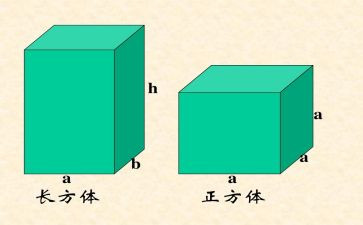 正方体的教案模板5篇