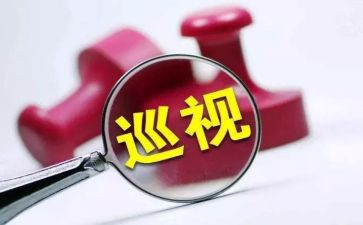 巡察整改工作报告5篇