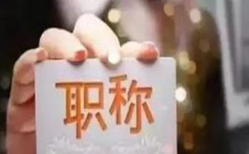 晋升正高级述职报告6篇