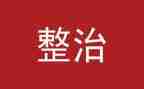 2024专项整治工作总结8篇