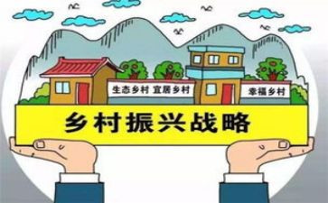 振兴乡村的心得体会模板5篇