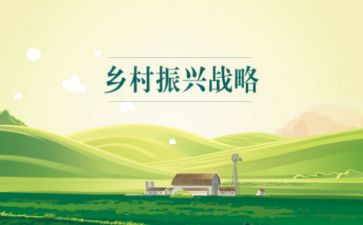 乡村振兴专干个人总结7篇