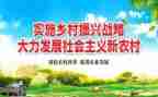 镇级乡村振兴工作总结5篇