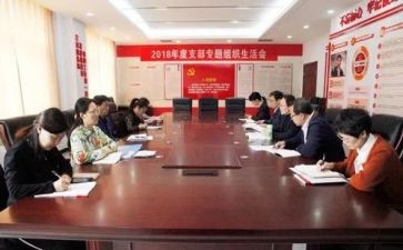 2024党支部述职报告范文参考6篇