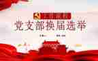 基层党支部换届工作总结8篇