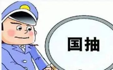 质检科的工作总结最新8篇