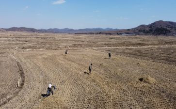 2023普法依法治理工作计划6篇