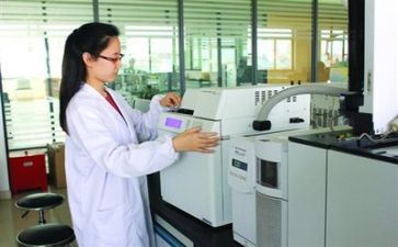 2023质量月工作计划精选5篇