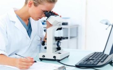 质量周工作计划模板5篇