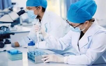 质量部半年工作总结8篇