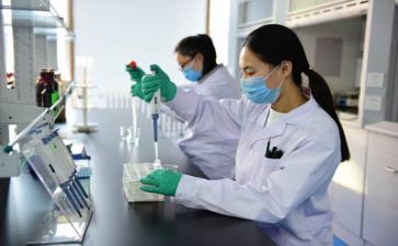 技术质量周工作计划7篇