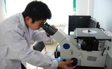 质量管理工作总结和工作计划5篇