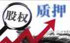 质押合同模板7篇