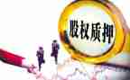 反担保质押合同参考8篇
