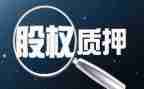 股权质押合同参考6篇