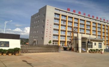 职中学生调查报告6篇