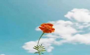 致自己演讲稿优秀8篇